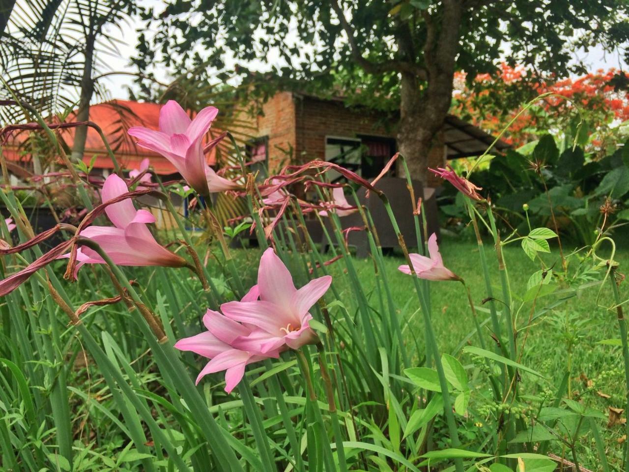 Bed and Breakfast Campito Loving Higüey Exterior foto